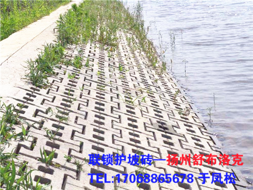 河道景观砖 水泥砖 护坡砖 连云港水工砖 , 砖、