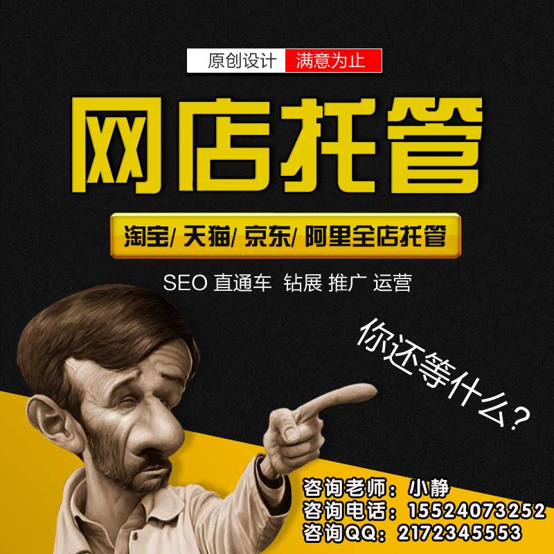 头狼 淘宝代运营,淘宝代运营tp