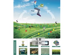 广西农业和林业gdp比较_玉东新区管理委员会 广西壮族自治区人民政府办公厅关于印发广西农业和农村经济发展 十三五 规划