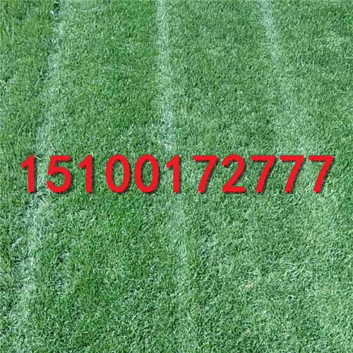 09-20-15-89-1025096.jpg